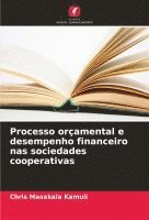 bokomslag Processo oramental e desempenho financeiro nas sociedades cooperativas