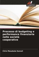 bokomslag Processo di budgeting e performance finanziaria nelle societ cooperative