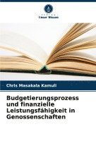 bokomslag Budgetierungsprozess und finanzielle Leistungsfhigkeit in Genossenschaften