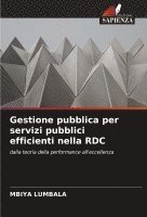 bokomslag Gestione pubblica per servizi pubblici efficienti nella RDC