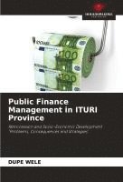 bokomslag Public Finance Management in ITURI Province