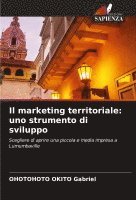 bokomslag Il marketing territoriale