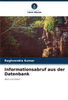 bokomslag Informationsabruf aus der Datenbank