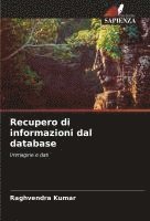 bokomslag Recupero di informazioni dal database