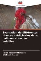 bokomslag valuation de diffrentes plantes mdicinales dans l'alimentation des volailles