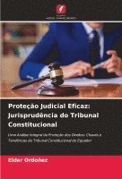 bokomslag Proteo Judicial Eficaz