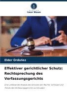 Effektiver gerichtlicher Schutz 1