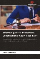 bokomslag Effective Judicial Protection