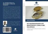 bokomslag Die Wahrnehmungen Des Brautpreises (Cimalo Und Malo&#372;olo)