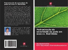 Padronização da severidade da poda em uvas cv. Red Globe 1