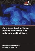 bokomslag Gestione degli effluenti liquidi industriali con potenziale di utilizzo