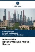 bokomslag Industrielle Datenerfassung mit VI-Server