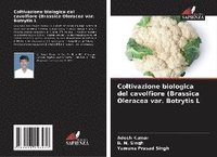 bokomslag Coltivazione biologica del cavolfiore (Brassica Oleracea var. Botrytis L