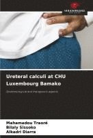 bokomslag Ureteral calculi at CHU Luxembourg Bamako