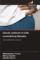 bokomslag Calcoli ureterali al CHU Luxembourg Bamako