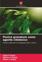 bokomslag Punica granatum como agente citotóxico
