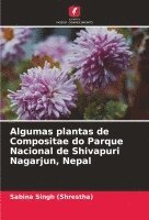 bokomslag Algumas plantas de Compositae do Parque Nacional de Shivapuri Nagarjun, Nepal