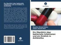 bokomslag Ein Überblick über bakterielle Infektionen und ein Einblick in Antibiotika