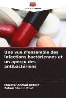 bokomslag Une vue d'ensemble des infections bactriennes et un aperu des antibactriens