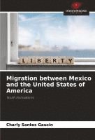 bokomslag Migration between Mexico and the United States of America