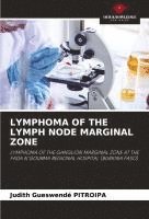 bokomslag Lymphoma of the Lymph Node Marginal Zone