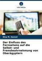 bokomslag Einfluss des Fernsehens auf die Selbst- und Fremdwahrnehmung von Oberägyptern