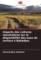 bokomslag Impacts des cultures marachres sur la disponibilit des eaux de surface  Babadjou