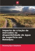 Impacto da criao de mercados na disponibilidade de gua de superfcie em Babadjou 1