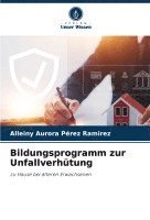 Alleiny Aurora Pérez Ramirez - Bildungsprogramm zur Unfallverhütung, Häftad