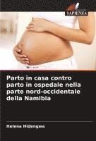 bokomslag Parto in casa contro parto in ospedale nella parte nord-occidentale della Namibia