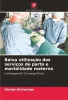 bokomslag Baixa utilizao dos servios de parto e mortalidade materna