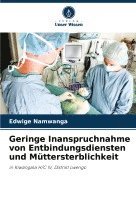 bokomslag Geringe Inanspruchnahme von Entbindungsdiensten und Mttersterblichkeit