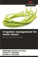 bokomslag Irrigation management for meter beans