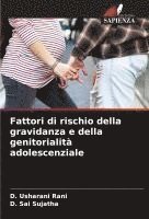 bokomslag Fattori di rischio della gravidanza e della genitorialità adolescenziale