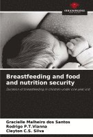 bokomslag Breastfeeding and food and nutrition security