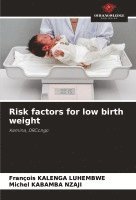 bokomslag Risk factors for low birth weight