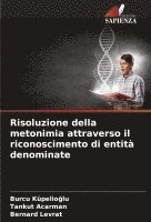 bokomslag Risoluzione della metonimia attraverso il riconoscimento di entit denominate