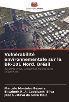Vulnérabilité environnementale sur la BR-101 Nord, Brésil