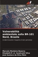 Vulnerabilità ambientale sulla BR-101 Nord, Brasile