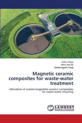 bokomslag Magnetic ceramic composites for waste-water treatment