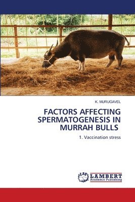 bokomslag Factors Affecting Spermatogenesis in Murrah Bulls