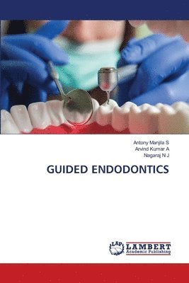 bokomslag Guided Endodontics