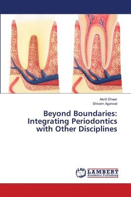 Beyond Boundaries