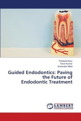 bokomslag Guided Endodontics: Paving the Future of Endodontic Treatment