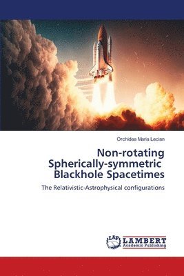 bokomslag Non-rotating Spherically-symmetric Blackhole Spacetimes