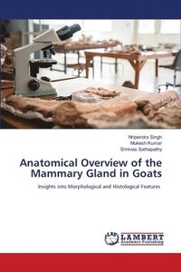 bokomslag Anatomical Overview of the Mammary Gland in Goats