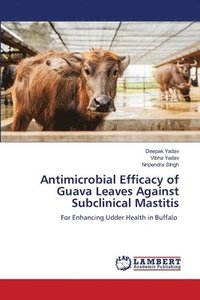 bokomslag Antimicrobial Efficacy of Guava Leaves Against Subclinical Mastitis