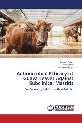 Deepak Yadav, Vibha Yadav, Nripendra Singh - Antimicrobial Efficacy of Guava Leaves Against Subclinical Mastitis, Häftad