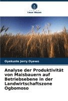 bokomslag Analyse der Produktivitt von Maisbauern auf Betriebsebene in der Landwirtschaftszone Ogbomoso