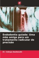 bokomslag Endodontia guiada